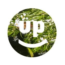 Logo UPL_dos Logo UPL_dos